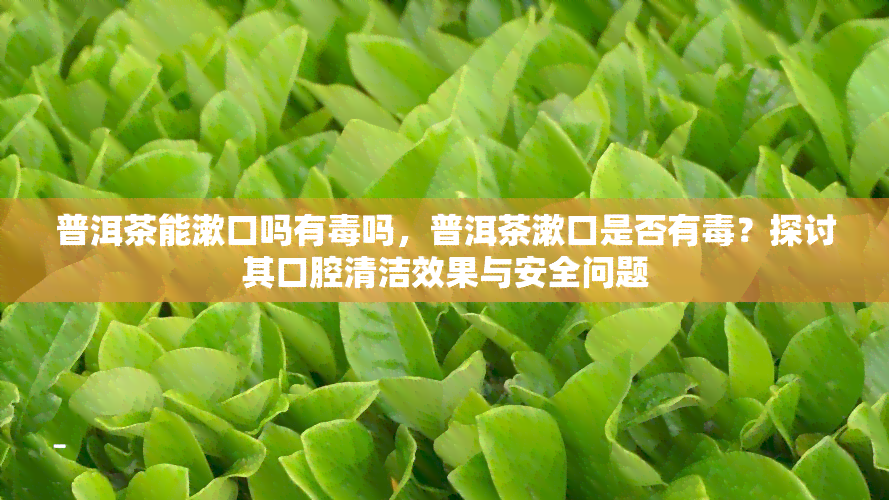 普洱茶能漱口吗有吗，普洱茶漱口是否有？探讨其口腔清洁效果与安全问题