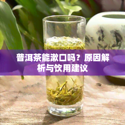 普洱茶能漱口吗？原因解析与饮用建议