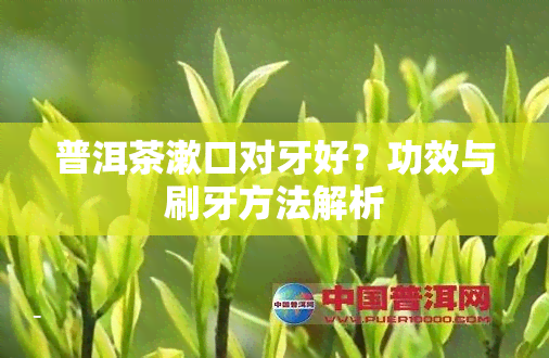 普洱茶漱口对牙好？功效与刷牙方法解析