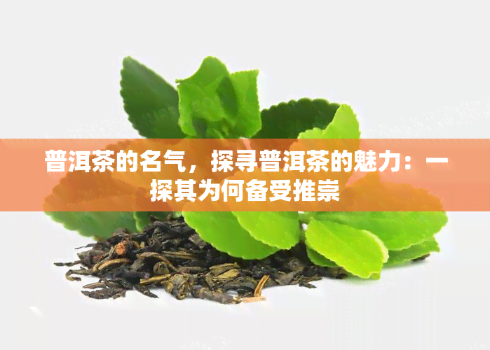 普洱茶的名气，探寻普洱茶的魅力：一探其为何备受推崇