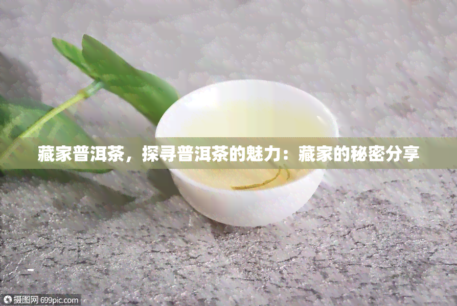 藏家普洱茶，探寻普洱茶的魅力：藏家的秘密分享