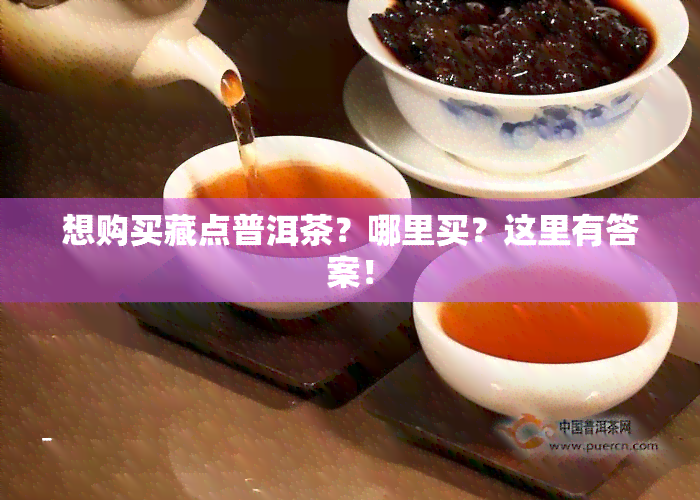 想购买藏点普洱茶？哪里买？这里有答案！