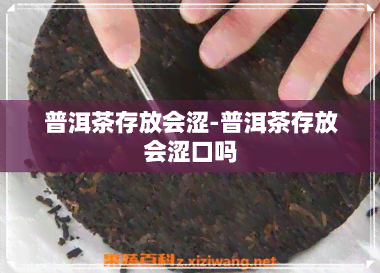 普洱茶存放会涩-普洱茶存放会涩口吗