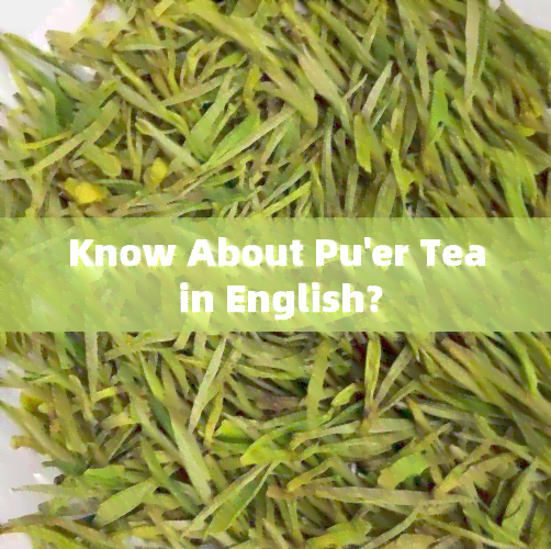 Know About Pu'er Tea in English?