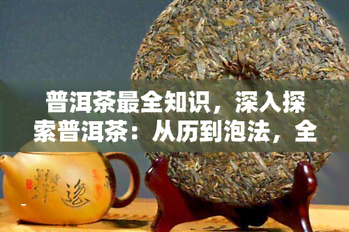 普洱茶最全知识，深入探索普洱茶：从历到泡法，全面了解普洱茶的知识