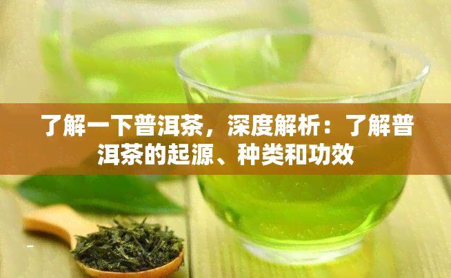 了解一下普洱茶，深度解析：了解普洱茶的起源、种类和功效