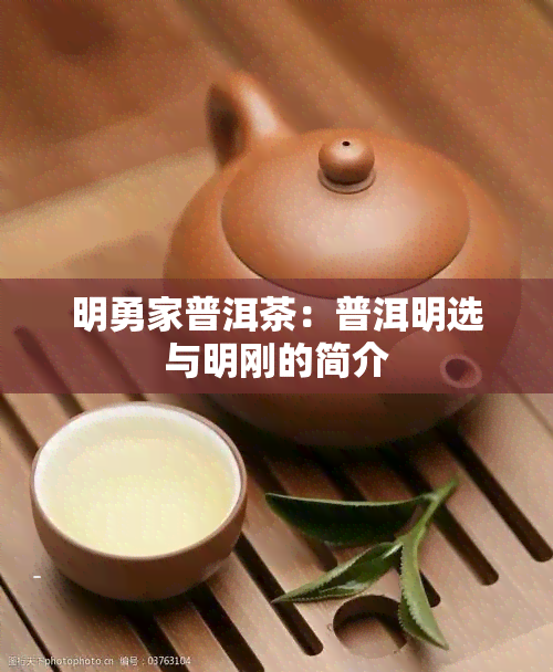 明勇家普洱茶：普洱明选与明刚的简介