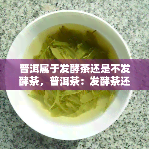 普洱属于发酵茶还是不发酵茶，普洱茶：发酵茶还是不发酵茶？