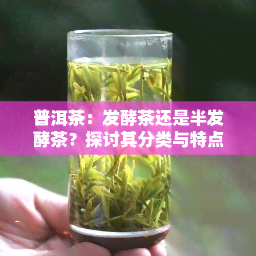 普洱茶：发酵茶还是半发酵茶？探讨其分类与特点