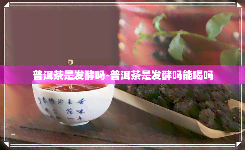 普洱茶是发酵吗-普洱茶是发酵吗能喝吗