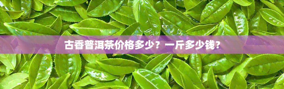 古香普洱茶价格多少？一斤多少钱？