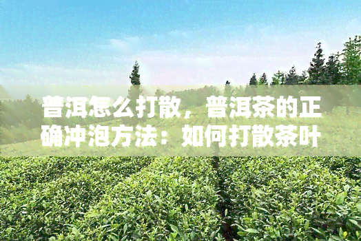 普洱怎么打散，普洱茶的正确冲泡方法：如何打散茶叶？