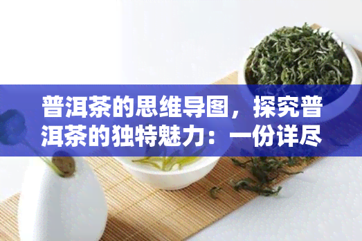 普洱茶的思维导图，探究普洱茶的独特魅力：一份详尽的思维导图