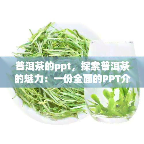 普洱茶的ppt，探索普洱茶的魅力：一份全面的PPT介绍