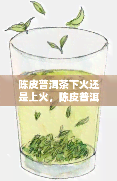 陈皮普洱茶下火还是上火，陈皮普洱茶：降火还是助火？一次全面解析