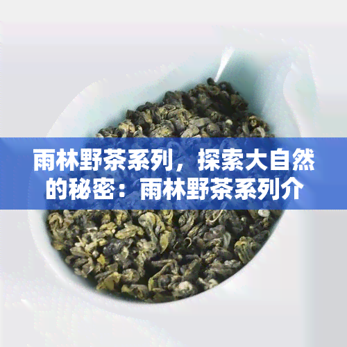 雨林野茶系列，探索大自然的秘密：雨林野茶系列介绍