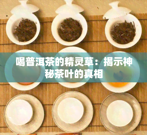 喝普洱茶的精灵草：揭示神秘茶叶的真相