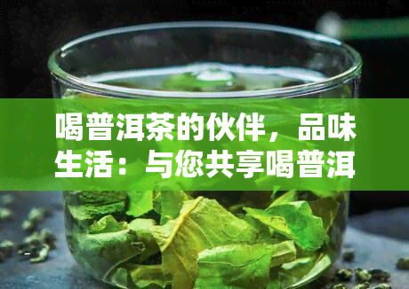 喝普洱茶的伙伴，品味生活：与您共享喝普洱茶的乐趣