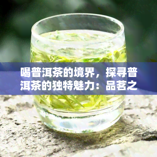 喝普洱茶的境界，探寻普洱茶的独特魅力：品茗之道的境界