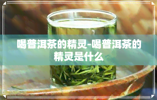 喝普洱茶的精灵-喝普洱茶的精灵是什么