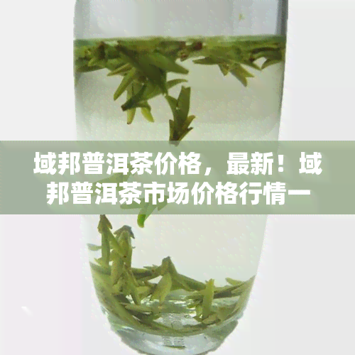 域邦普洱茶价格，最新！域邦普洱茶市场价格行情一览