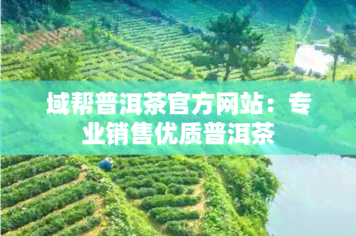 域帮普洱茶官方网站：专业销售优质普洱茶