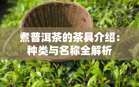 煮普洱茶的茶具介绍：种类与名称全解析