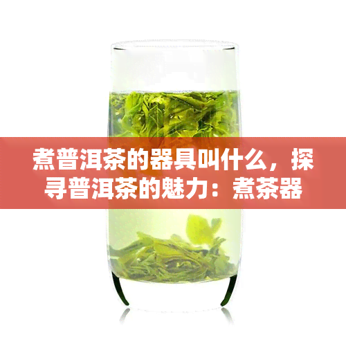 煮普洱茶的器具叫什么，探寻普洱茶的魅力：煮茶器具全解析