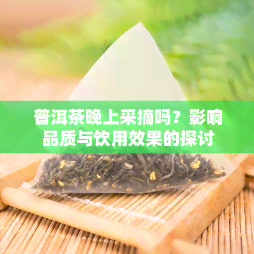 普洱茶晚上采摘吗？影响品质与饮用效果的探讨