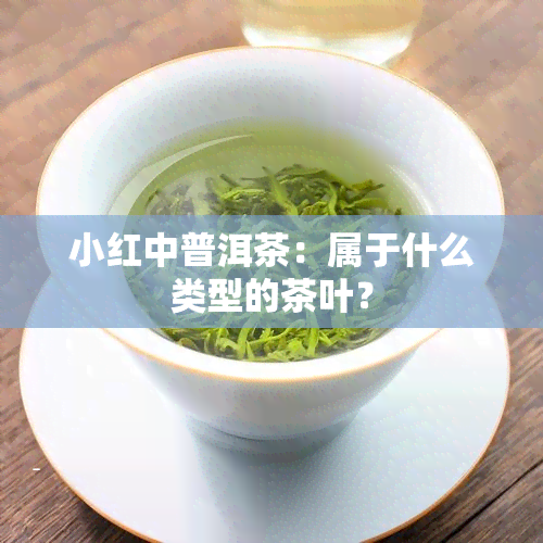 小红中普洱茶：属于什么类型的茶叶？