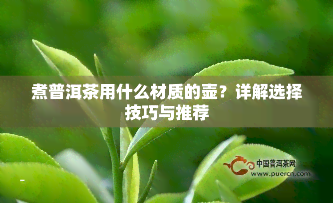 煮普洱茶用什么材质的壶？详解选择技巧与推荐