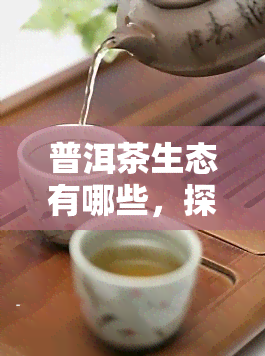 普洱茶生态有哪些，探究普洱茶生态：多元化、竞争激烈与可持续性