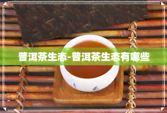 普洱茶生态-普洱茶生态有哪些