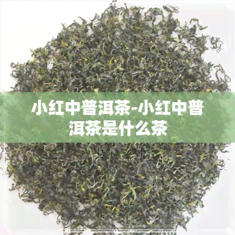 小红中普洱茶-小红中普洱茶是什么茶