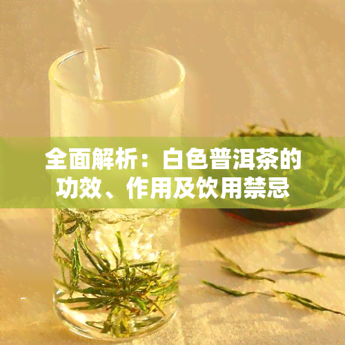 全面解析：白色普洱茶的功效、作用及饮用禁忌