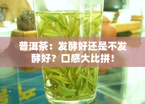 普洱茶：发酵好还是不发酵好？口感大比拼！