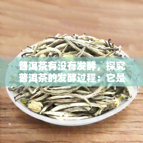 普洱茶有没有发酵，探究普洱茶的发酵过程：它是如何影响茶叶口感和营养成分的？