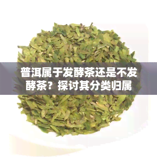 普洱属于发酵茶还是不发酵茶？探讨其分类归属