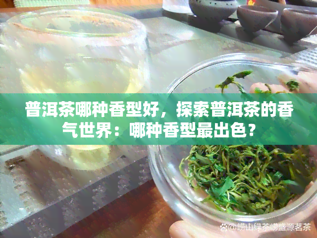 普洱茶哪种香型好，探索普洱茶的香气世界：哪种香型最出色？