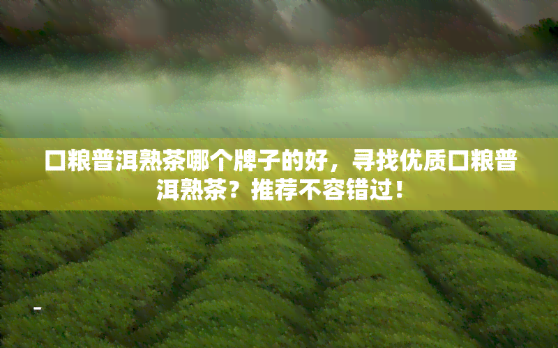 口粮普洱熟茶哪个牌子的好，寻找优质口粮普洱熟茶？推荐不容错过！