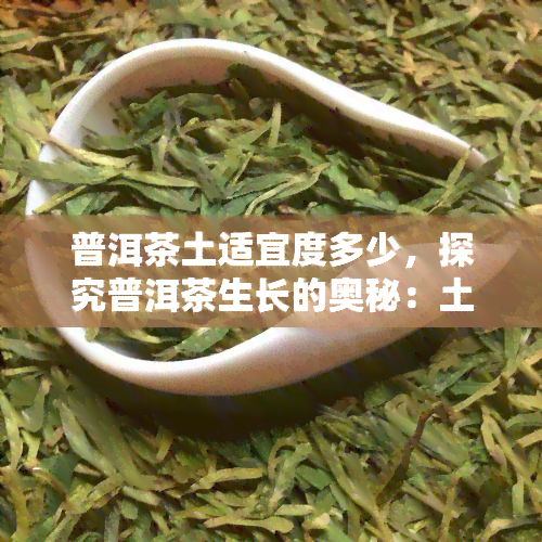 普洱茶土适宜度多少，探究普洱茶生长的奥秘：土适宜度解析