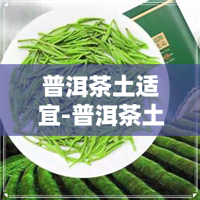 普洱茶土适宜-普洱茶土适宜种植吗