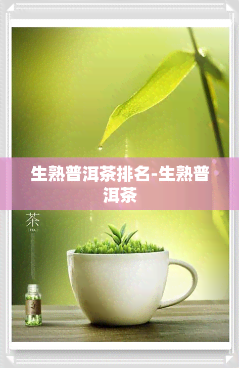 生熟普洱茶排名-生熟普洱茶