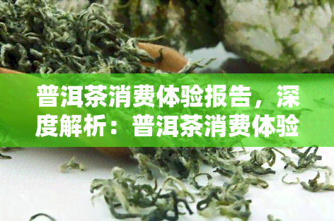 普洱茶消费体验报告，深度解析：普洱茶消费体验报告