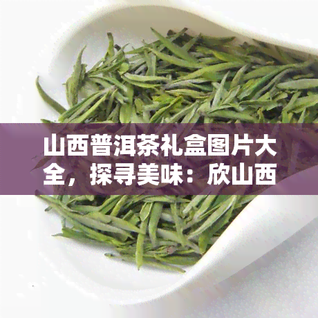 山西普洱茶礼盒图片大全，探寻美味：欣山西普洱茶礼盒图片大全