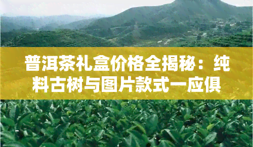 普洱茶礼盒价格全揭秘：纯料古树与图片款式一应俱全！