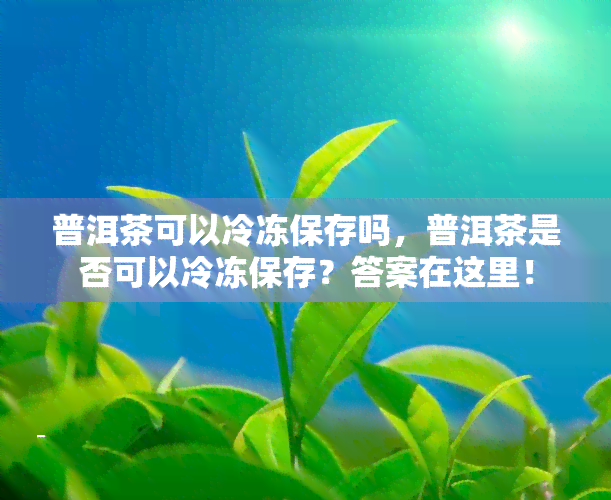 普洱茶可以冷冻保存吗，普洱茶是否可以冷冻保存？答案在这里！