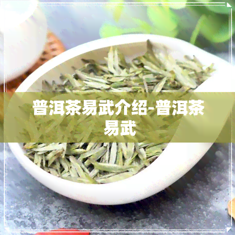 普洱茶易武介绍-普洱茶 易武