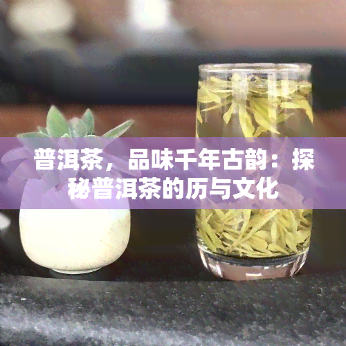 普洱茶，品味千年古韵：探秘普洱茶的历与文化