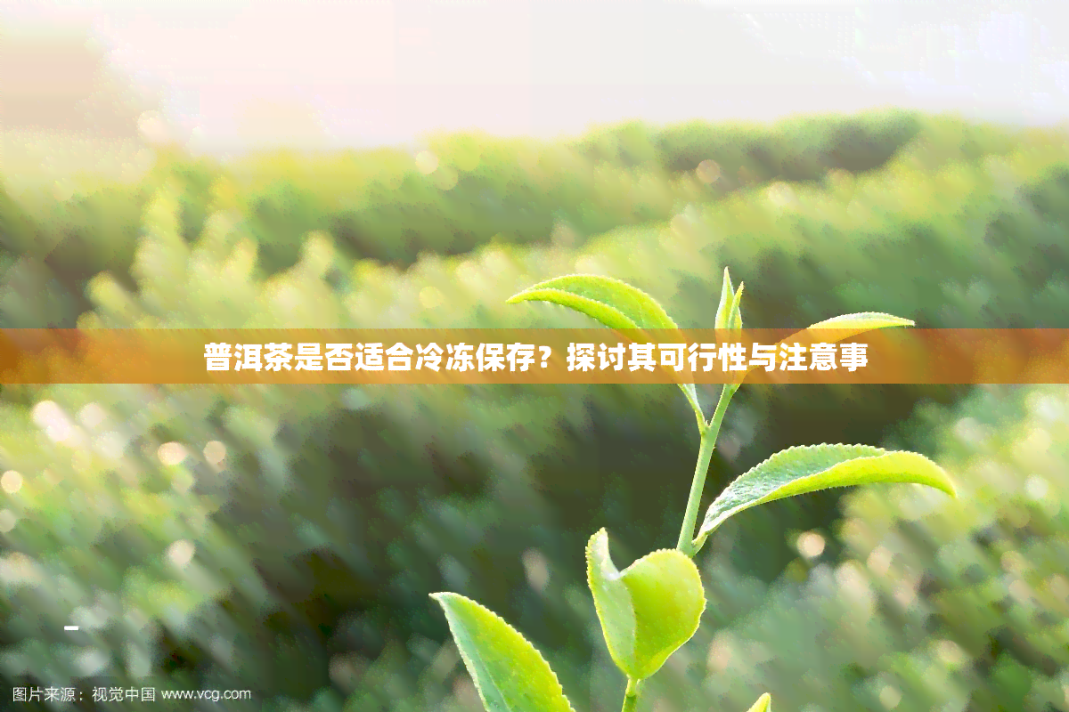 普洱茶是否适合冷冻保存？探讨其可行性与注意事